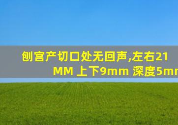 刨宫产切口处无回声,左右21MM 上下9mm 深度5mm